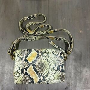 Madewell snakeskin bag
